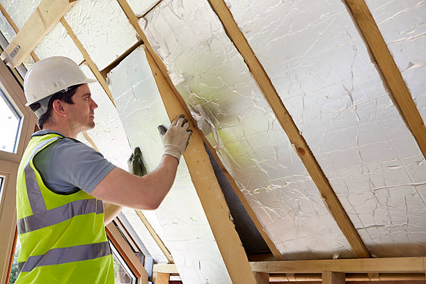 Best Residential Insulation in Fort Sumner, NM
